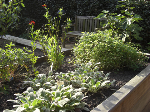 Heemstede patio plantenbak met voelplanten en kruiden